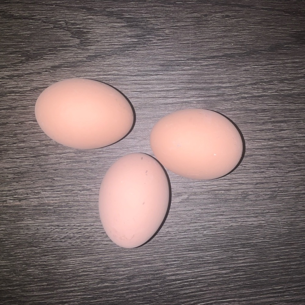 Ceramic Eggs (3)